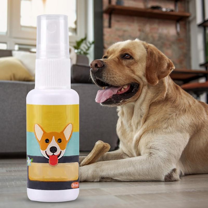子犬トレーニング用のポータブル犬のおもちゃ,トレーニングトイ - Travel Accessories For Train のレビューと価格