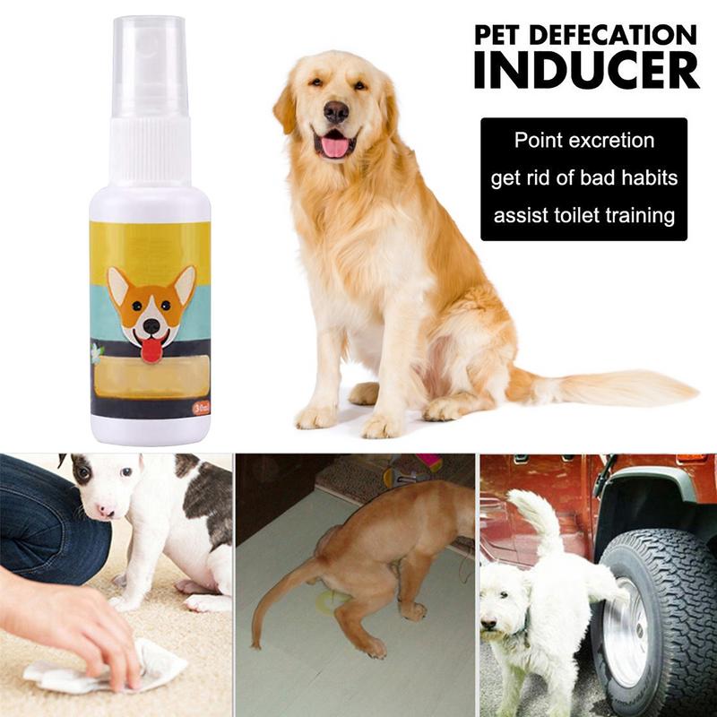 子犬トレーニング用のポータブル犬のおもちゃ,トレーニングトイ - Travel Accessories For Train のレビューと価格